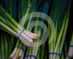 Bunch of green onions at a market