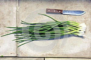 Bunch green onions, top view