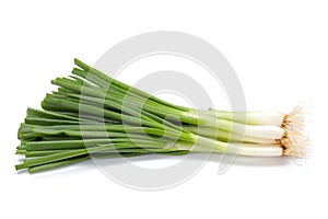 Bunch of green onions on white