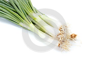 Bunch of green onions on white