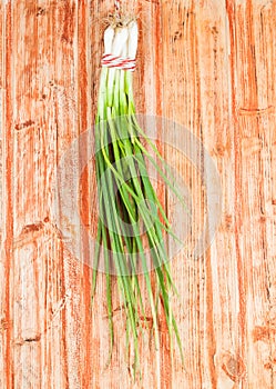 Bunch green onions