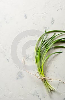 A bunch of green spring onions tied with a rope on a light stone background.