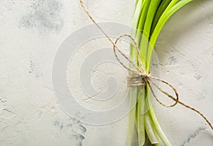 A bunch of green spring onions tied with a rope on a light stone background.