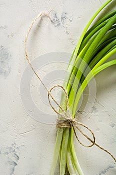 A bunch of green spring onions tied with a rope on a light stone background.