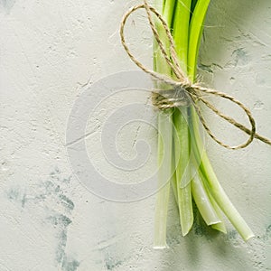 A bunch of green spring onions tied with a rope on a light stone background.