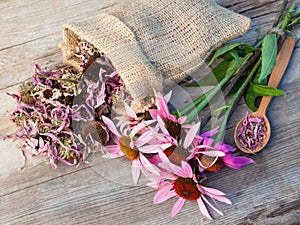 bunch of healing coneflowers and sack with dried echinacea flowers on wooden plank photo