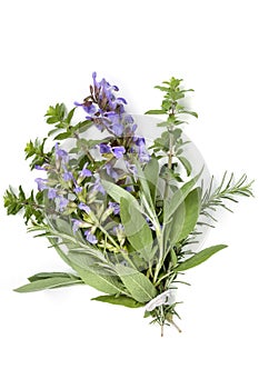 Bunch of Herbs Bouquet Garni Isolated on White photo