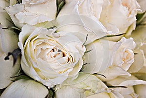 Bunch of Imperfect White Roses Bouquet