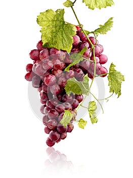 Bunch of juicy red grapes