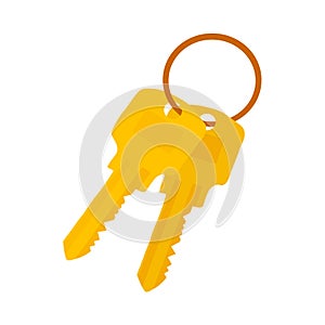 Bunch of Keys Icon isolated on white background. Vector iilustration