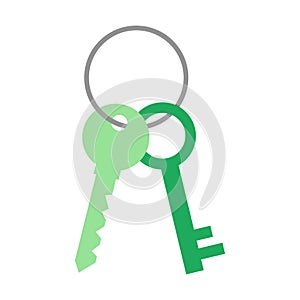 Bunch of keys on a ring icon vector illustration design isolated