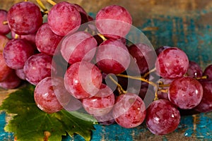 Bunch of large organic table grapes Red Globe