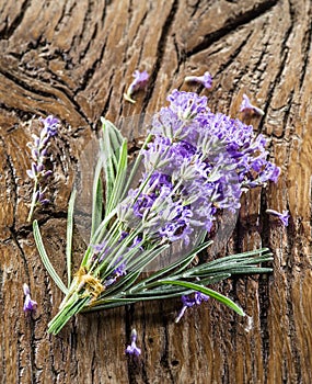 Bunch of lavandula or lavender flowers.