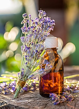 Bunch of lavandula or lavender flowers and oil bottle are on the