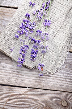 Bunch of lavender flowers with ladybird on an old wood table