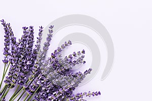 Bunch of lavender flowers on a lilac background. Top view, copy space