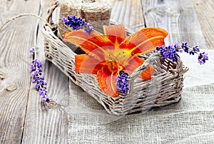 Bunch of lavender flowers and lily in basket on an old wood tab