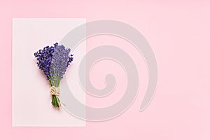 Bunch of lavender flowers on a pink background. Top view, copy space
