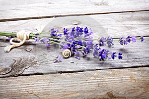 Bunch of lavender flowers with snail on an old wood table