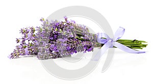 Bunch of lavender flowers