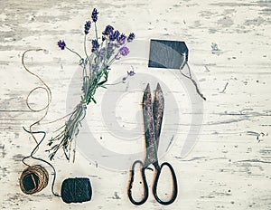 A bunch of lavender, scissors and cord