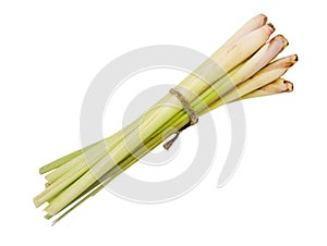 Bunch lemongrass