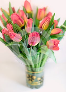 Bunch of light red spring tulips in small vase