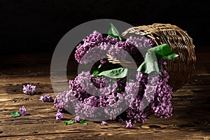 Bunch of lilac flowers in a basket. Still life with a luxurious bouquet