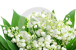 Bunch of Lilly of valley