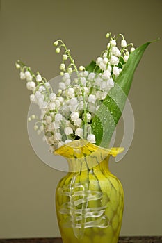 Bunch of lily of the valley