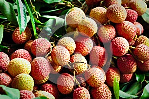 A bunch of litchis