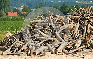 Bunch of Logs