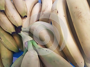 A bunch with lots of plantains or bananas ready to sell