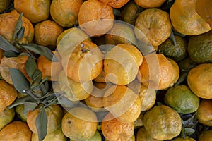 Bunch of mandarin orange photo