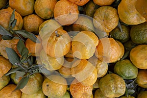 Bunch of mandarin orange photo