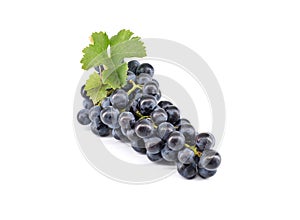 Bunch of Merlot grape with leaf on white background