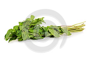 Bunch mint leaves