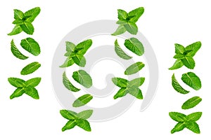 A bunch of mint leaves on a white background