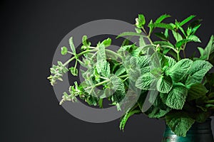 Bunch of mint in an old ceramic pot on a black background