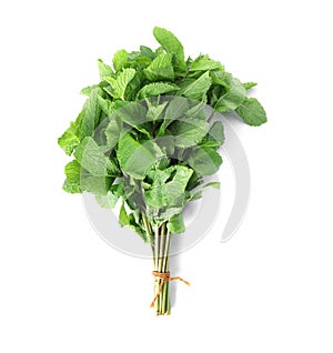 Bunch of mint on white background, top view