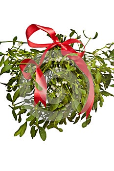 Bunch of mistletoe with a red ribbon