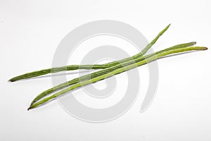 Bunch of Moringa Oleifera or sonjna over white background