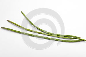 Bunch of Moringa Oleifera or sonjna over white background