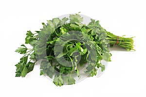 A bunch of natural green parsley with leaves photo