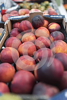 A bunch of nectarines in a fruit stand photo