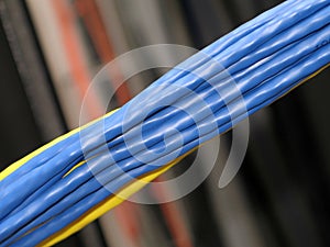 Bunch of Network Cables