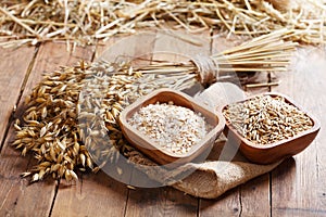 Bunch of oat ears, cereals and grains