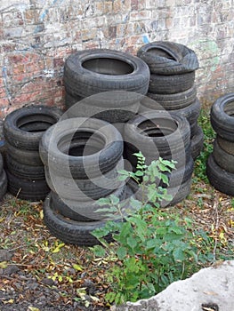 A bunch of old tyres piled up at the scrapyard