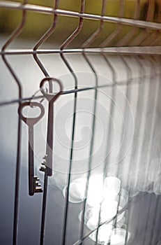 A bunch of old vintage metal door keys hanging on a wire fence with a blurred background and sun highlights on the water