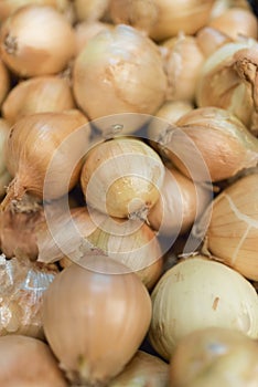 A bunch of onions in a box photo